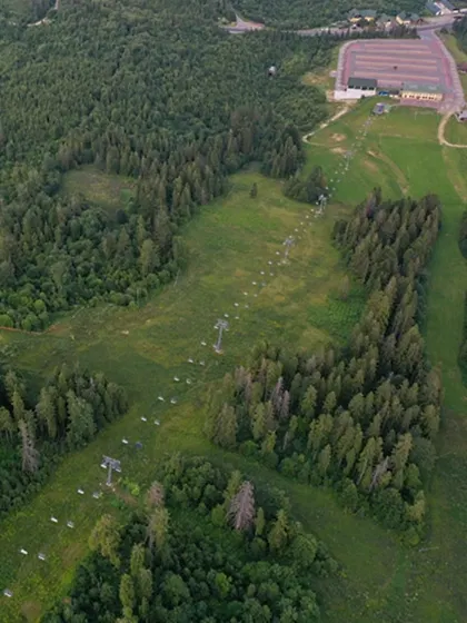 Demirtaş Orman Evleri